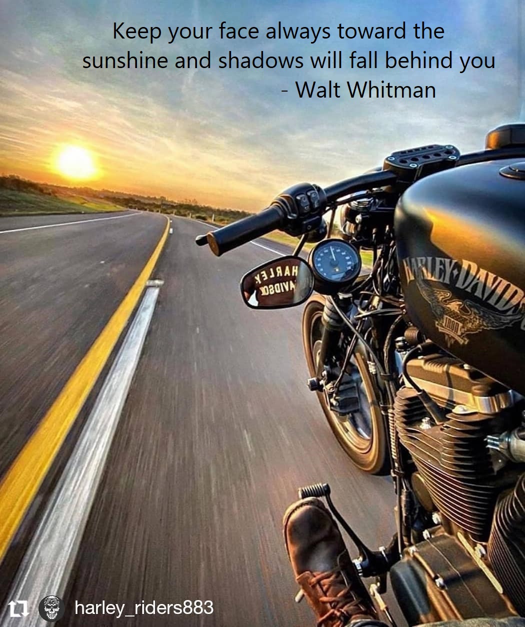 My Favorite Motorcycle Pictures and Memes Page 21