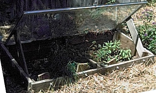 Large Cold Frame