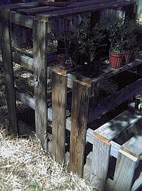 Seedling and Plant Shelves - Front View