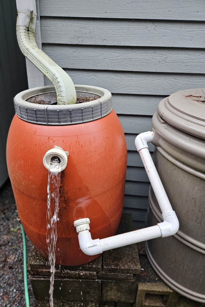 Rain Barrel pipe coupling opened up